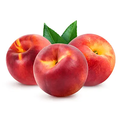 خرید نهال شلیل نکتارد