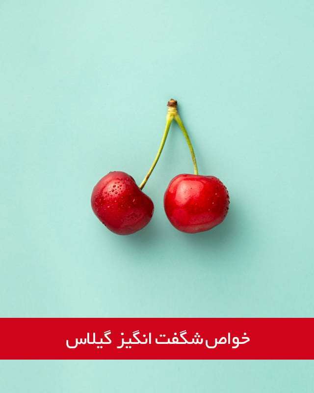 خواص گیلاس