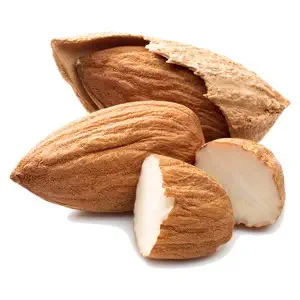 خرید نهال بادام سوپر نوا