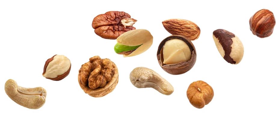 پتانسیل رشد و توسعه صنعت پسته و گردو در آینده