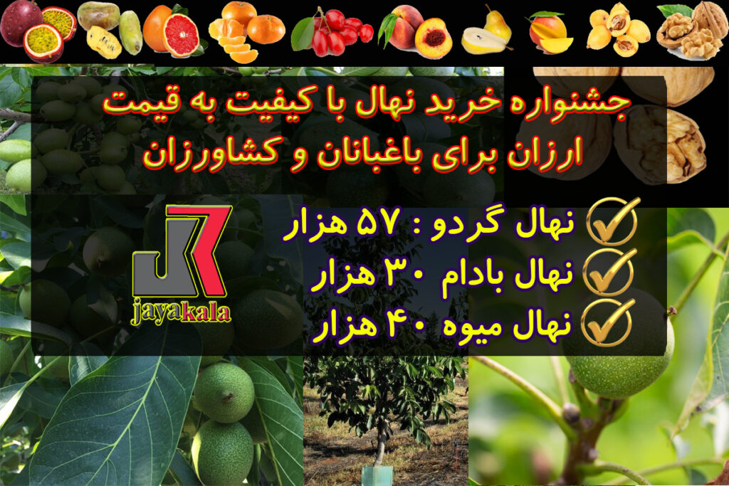 جشنواره خرید نهال با کیفیت به قیمت ارزان برای باغبانان و کشاورزان