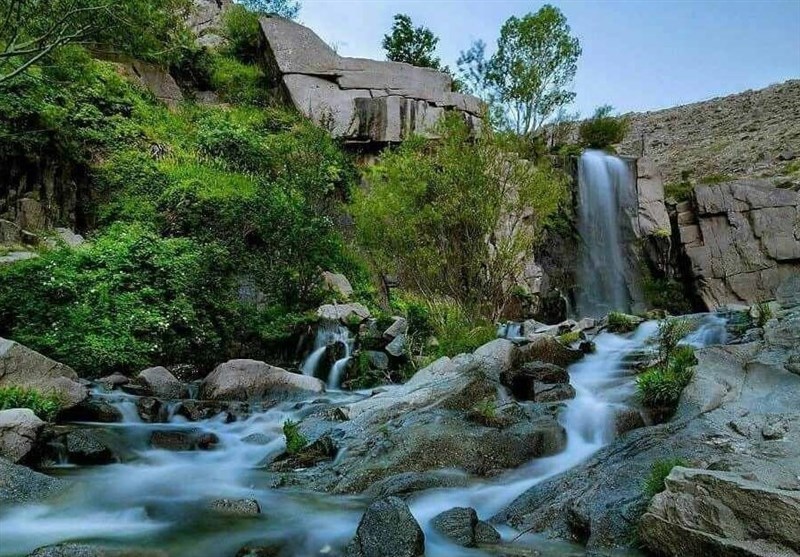 بهترین زمان برای خرید نهال در همدان