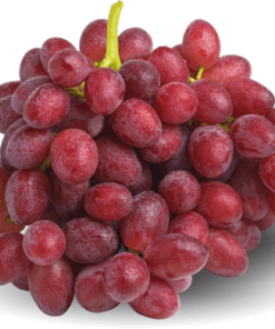 نهال انگور روبی سیدلس