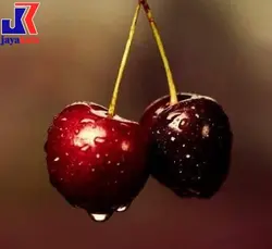 گیلاس تکدانه مشهد