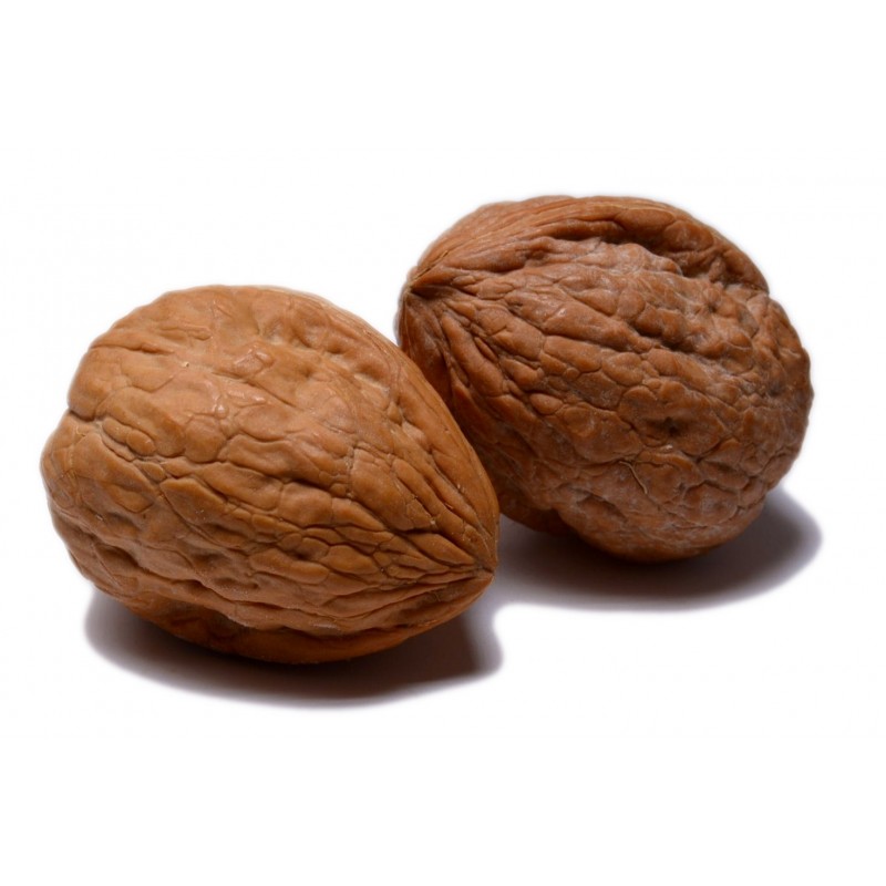 Israeli walnut