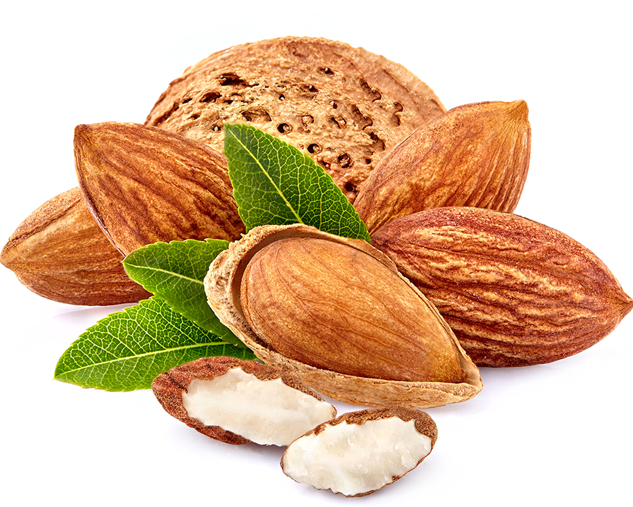 خرید نهال بادام ربیعی حریر