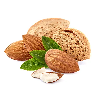 خرید نهال بادام شکوفه