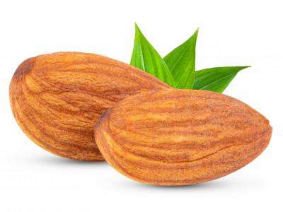 خرید نهال بادام منقا