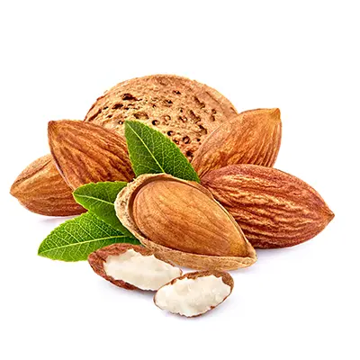 نهال بادام یلدا