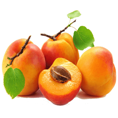 خرید نهال زرد آلو عسگر آبادی