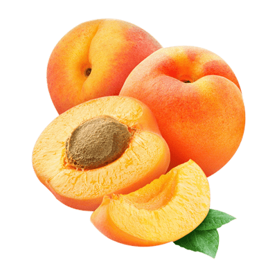 خرید نهال زرد آلو پرتقالی