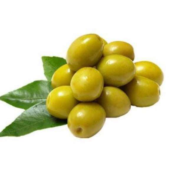 خرید نهال زیتون پیچولین