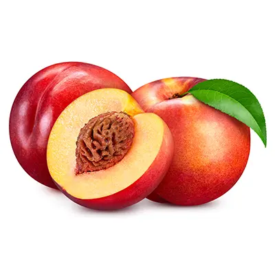 نهال شلیل بیگ تاپ