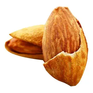 نهال نان پاریل