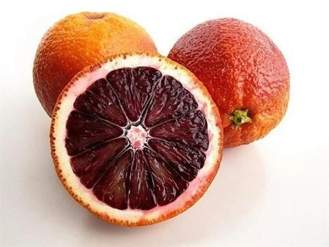 نهال پرتقال خونی مورو