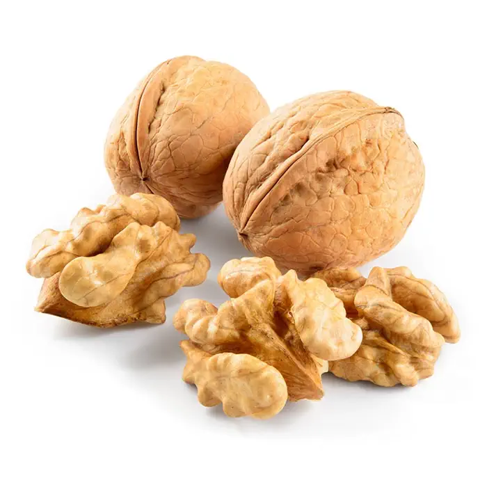 نهال گردو تویسرکان