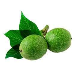 نهال گردو خوشه ای پیوندی