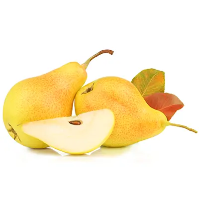 خرید نهال گلابی اسپادانا