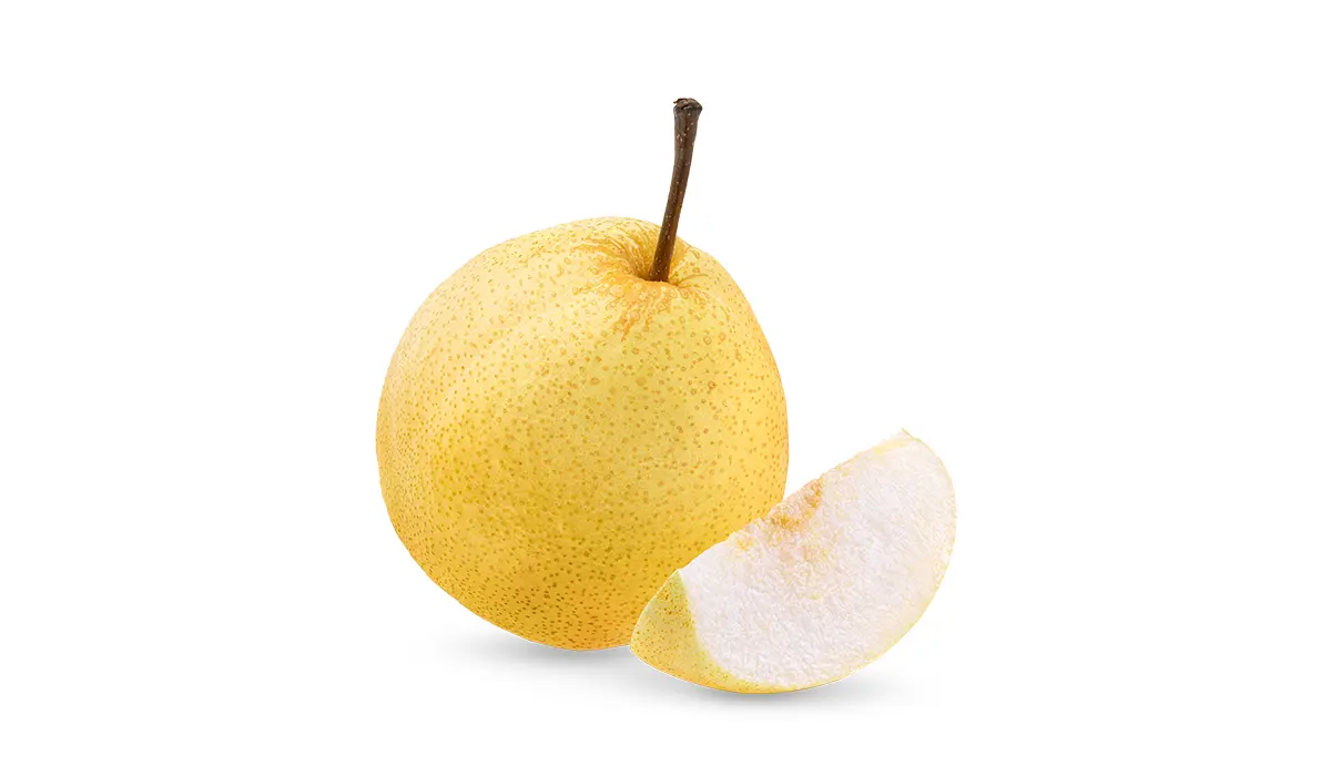 خرید نهال گلابی سیبی