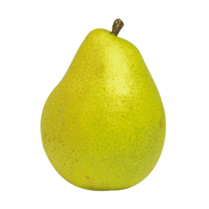 خرید نهال گلابی مشو