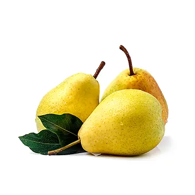 نهال گلابی شاه میوه