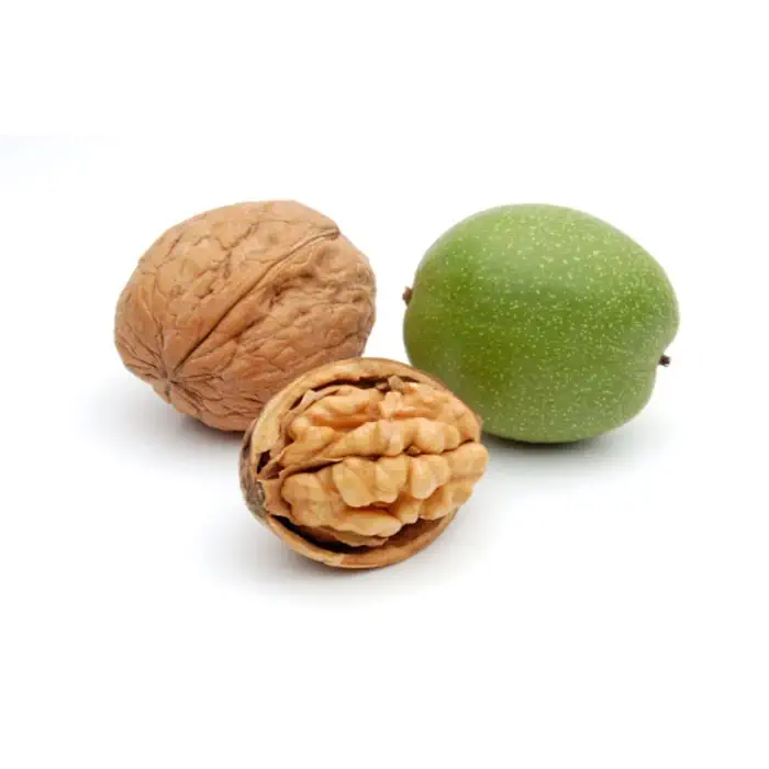 گردو اسرائیلی