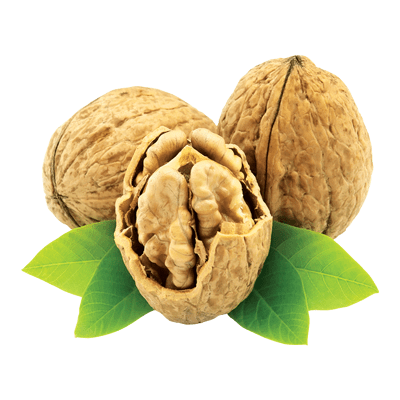 نهال گردو چندلر مخصوص