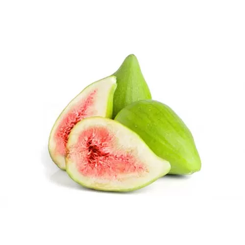نهال انجیر گلابی