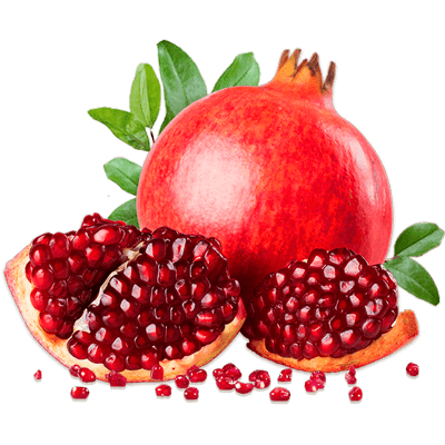 نهال انار سیو