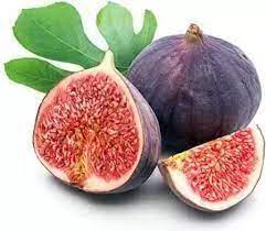 نهال انجیر گوجه ای