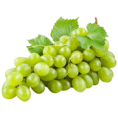 خرید نهال انگور عسگری