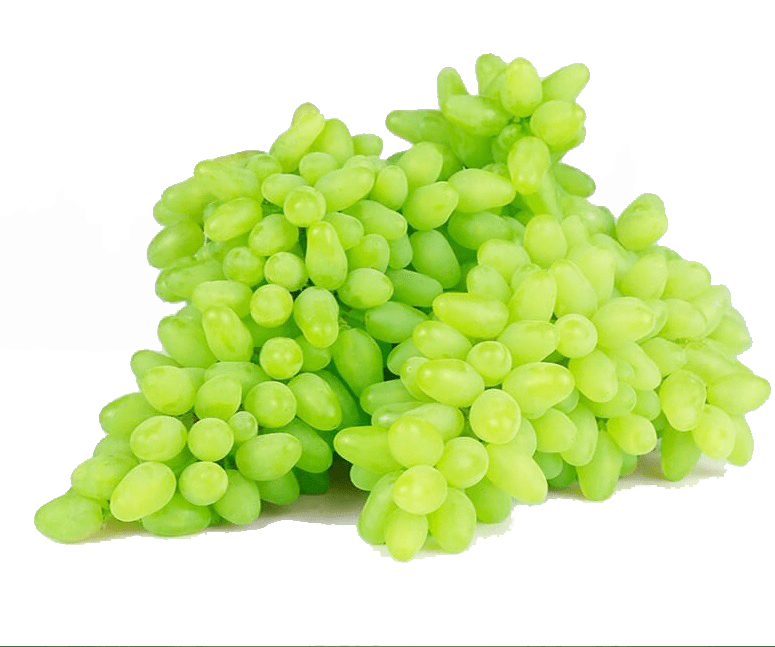 نهال انگور پیکامی