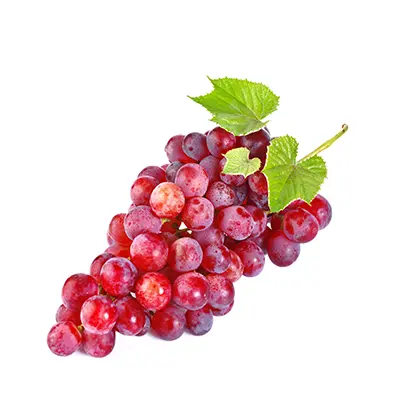 خرید نهال انگوربیدانه قرمز