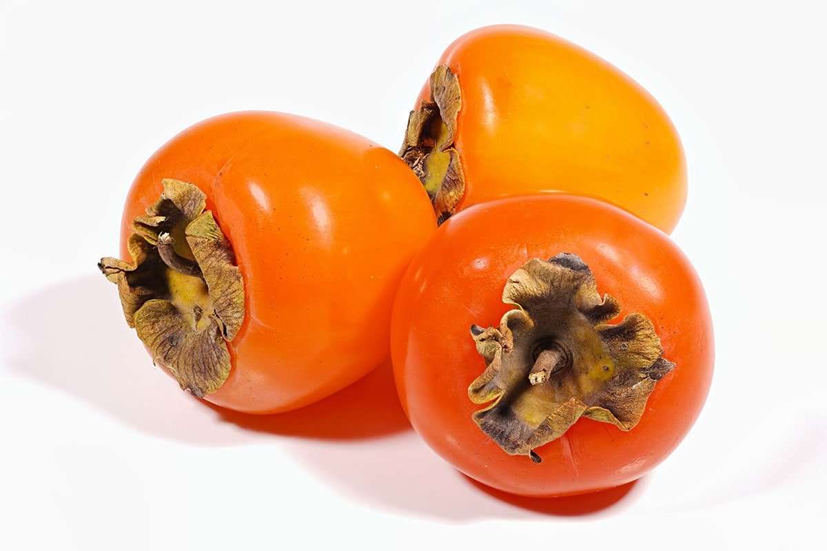 نهال خرمالو تانناشی Tanenashi