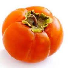 نهال خرمالو تزورا Tsuru