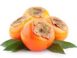 نهال خرمالو کوستاتا Costat