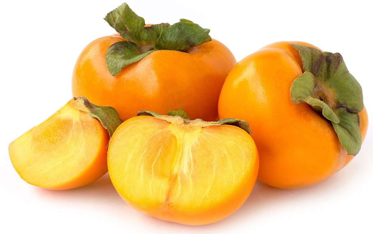 نهال خرمالو یوتسومیزو Yotsumizo