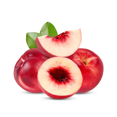 نهال شلیل سان کینگ