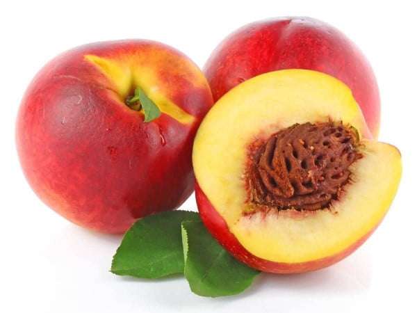 نهال شلیل قرمز پاییزه