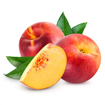 خرید نهال هلو قجیر قانات