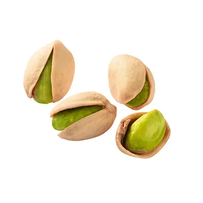 نهال پسته قزوینی