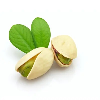 نهال پسته نوق