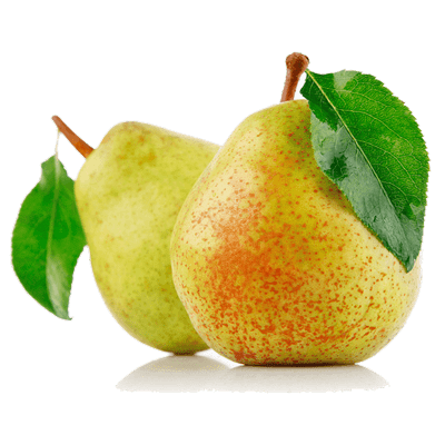 نهال گلابی درگزی