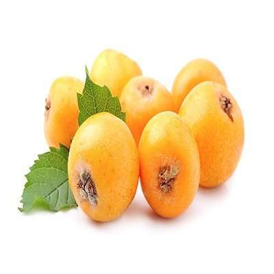 نهال ازگیل