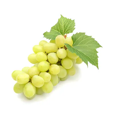 نهال انگور حسینی