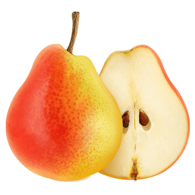نهال گلابی نطنز