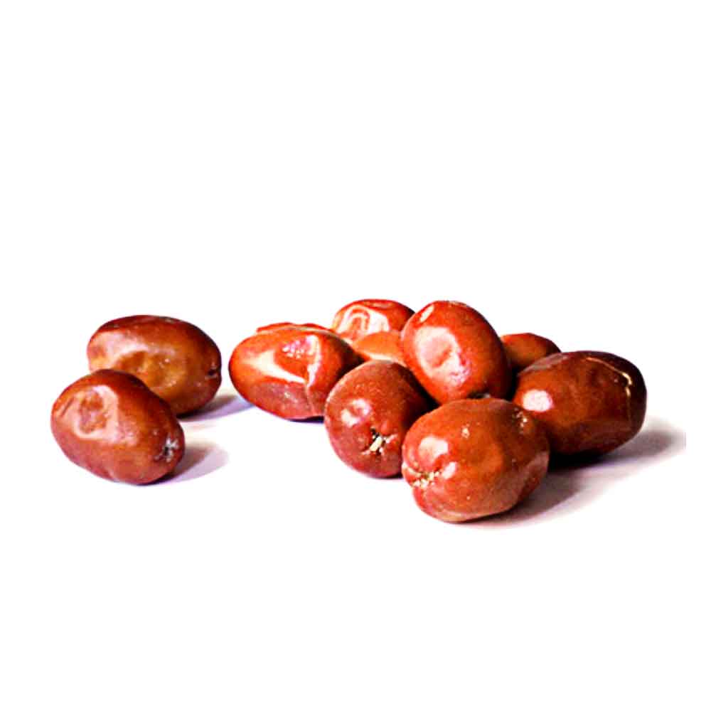  نهال سنجد حاج حسینی