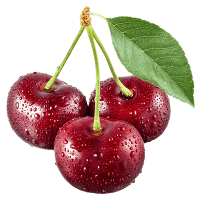 خرید نهال آلبالو گوشواره ای