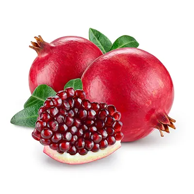 نهال انار ساوه اصلاح شده