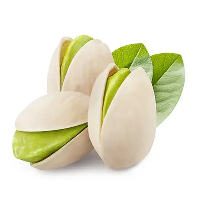 خرید نهال پسته هیبریدی